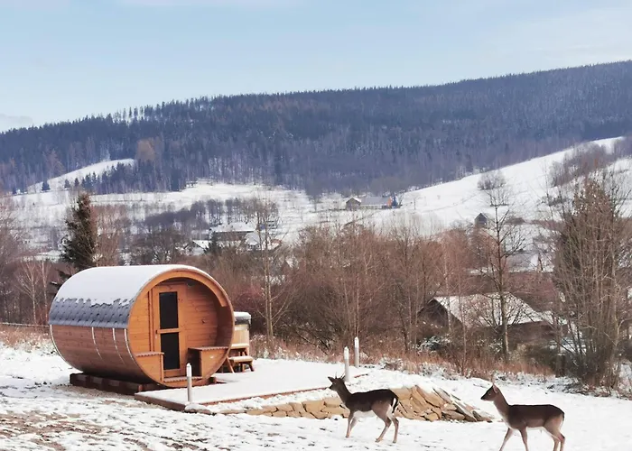 I Pod Snieznikiem Aparthotel 3*